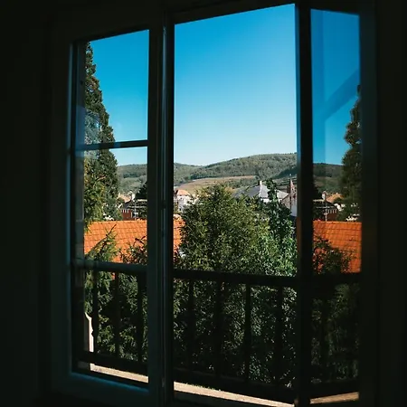 Apartament Domaine Boheme I Art De Vivre Guebwiller