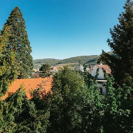 Domaine Bohème I Art De Vivre Guebwiller