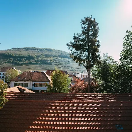 Domaine Boheme I Art De Vivre