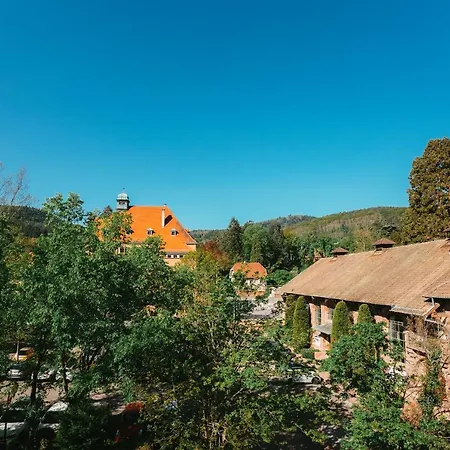 Domaine Bohème I Art De Vivre *