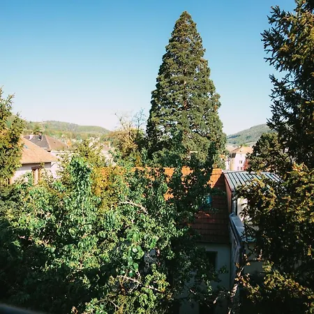 Apartamento Domaine Boheme I Art De Vivre Guebwiller