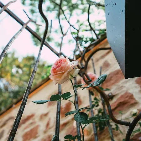 Domaine Bohème I Art De Vivre