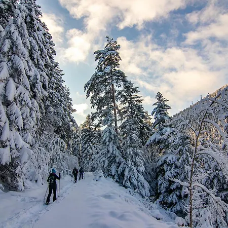 Domaine Bohème I Art De Vivre * Guebwiller